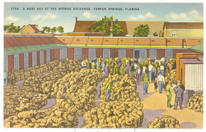 Sponge Exchange, Tarpon Springs, FL - Carey's Emporium