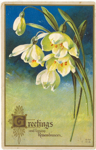 Greetings and Loving Remembrances - Carey's Emporium