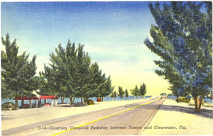 Courtney Campbell Parkway between Tampa and Clearwater, FL - Carey's Emporium