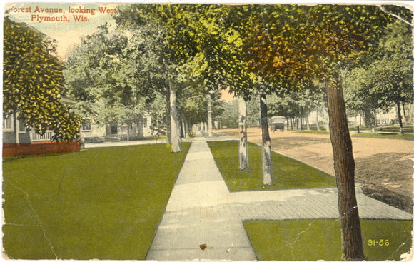 Forest Avenue, Looking West, Plymouth, WI - Carey's Emporium