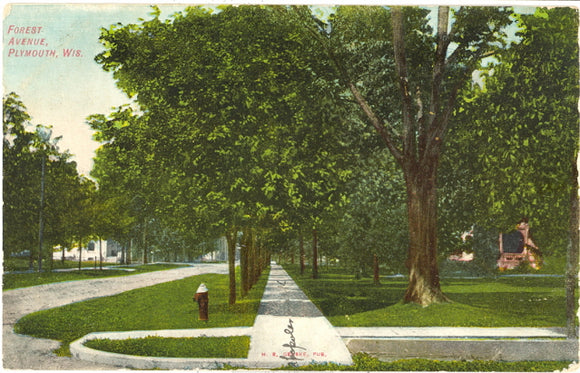Forest Avenue, Plymouth, WI - Carey's Emporium