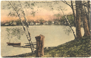 A View of Pine Lake, Detroit, MI - Carey's Emporium