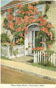 When Roses Bloom, Nantucket, MA - Carey's Emporium