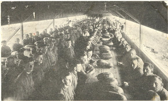 American Red Cross, Raleigh, NC - Carey's Emporium