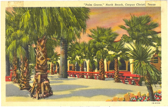 Palm Grove, North Beach, Corpus Christi, TX - Carey's Emporium