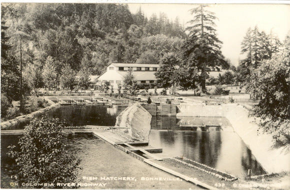 Fish Hatchery, On Columbia River Highway, Bonneville, OR - Carey's Emporium