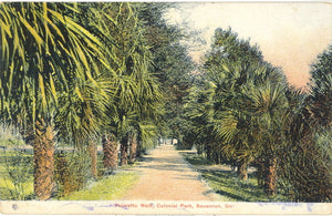 Palmetto Walk, Colonial Park, Savannah, GA - Carey's Emporium