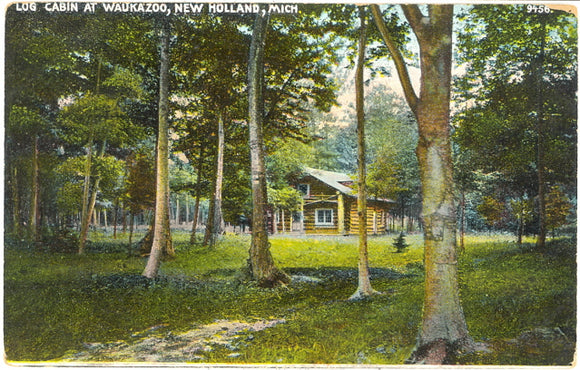 Log Cabin at Waukazoo, New Holland, MI - Carey's Emporium