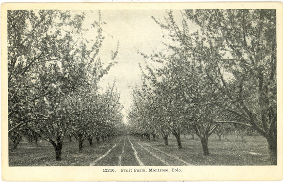 Fruit Farm, Montrose, CO - Carey's Emporium