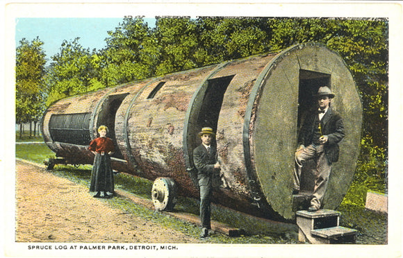 Spruce Log at Palmer Park, Detroit, MI - Carey's Emporium