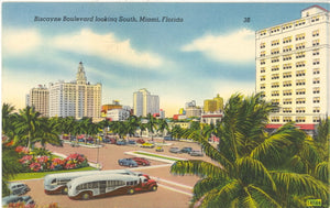 Biscayne Boulevard Looking South, Miami, FL - Carey's Emporium