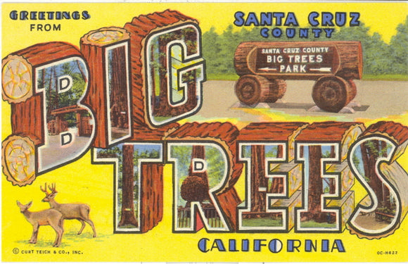Greetings from Big Trees CA Large Letter - Carey's Emporium