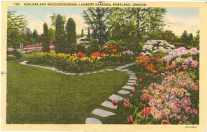 Azaleas and Rhododendrons, Lambert Gardens, Portland, OR - Carey's Emporium