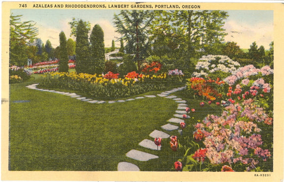 Azaleas and Rhododendrons, Lambert Gardens, Portland, OR - Carey's Emporium