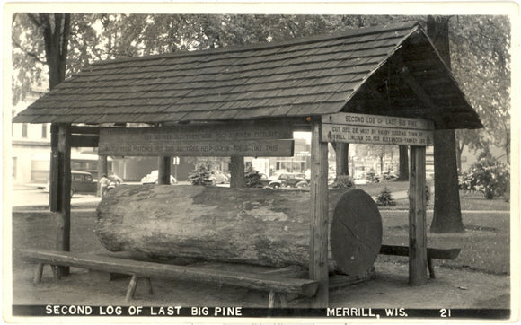 Second Log of Last Big Pine, Merrill, WI - Carey's Emporium