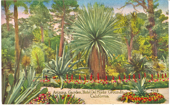 Arizona Garden, Hotel Del Monte Grounds, Del Monte, CA - Carey's Emporium