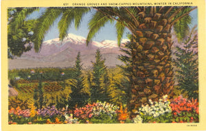 Orange Groves and Snow-Capped Mountains, Winter in CA - Carey's Emporium