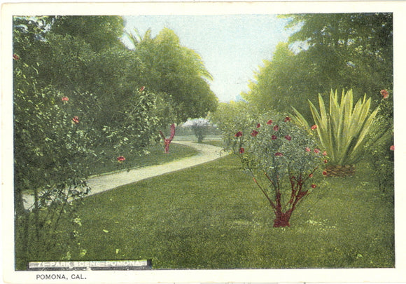 Park Scene, Pomona, CA - Carey's Emporium