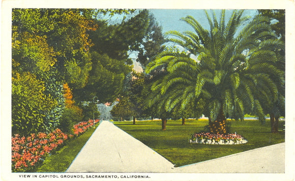 View in Capitol Grounds, Sacramento, CA - Carey's Emporium