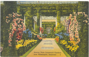 Interior View, Longwood Gardens, near Wilmington, DE - Carey's Emporium