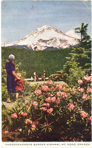 Rhododendrons Border Highway, Mt. Hood, OR - Carey's Emporium