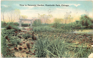 View in Perennial Garden, Humboldt Park, Chicago, IL - Carey's Emporium