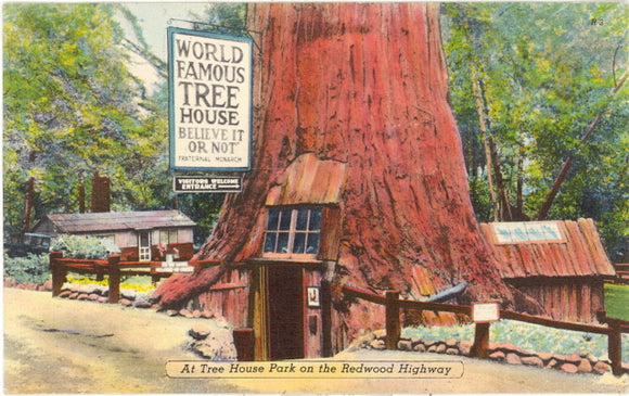 At Tree House Park on the Redwood Highway, CA - Carey's Emporium