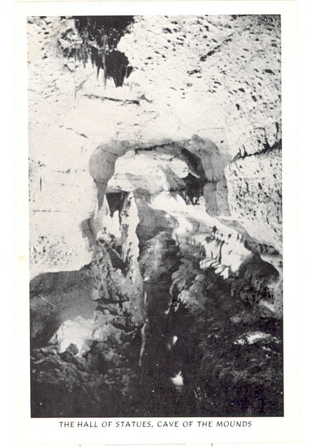 The Hall of Statues, Cave of the Mounds, WI - Carey's Emporium