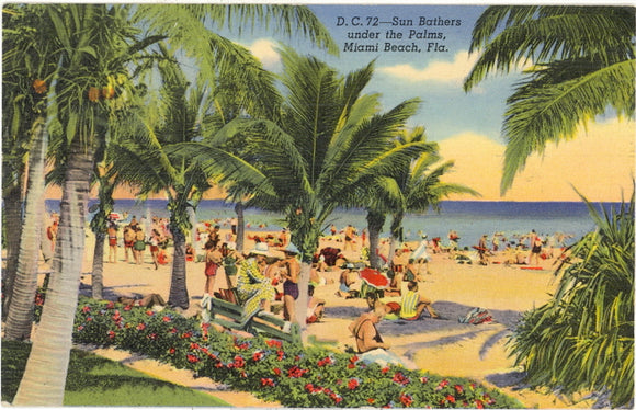 Sun Bathers Under the Palms, Miami Beach, FL - Carey's Emporium