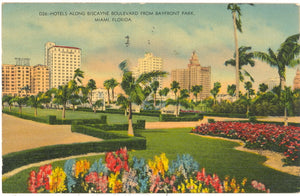 Hotels Along Biscayne Boulevard from Bayfront Park, Miami, FL - Carey's Emporium