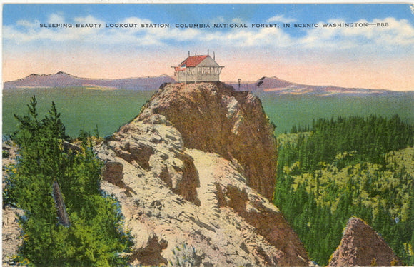 Sleeping Beauty Lookout Station, Columbia National Forest in Scenic Washington - Carey's Emporium