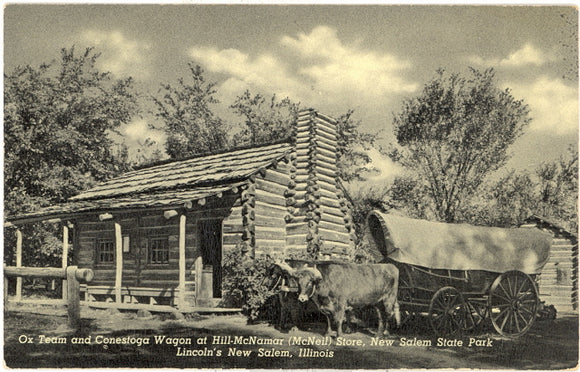 Ox Team and Conestoga Wagon at Hill-McNanar (McNeil) Store, New Salem State Park, Lincoln's New Salem, IL - Carey's Emporium