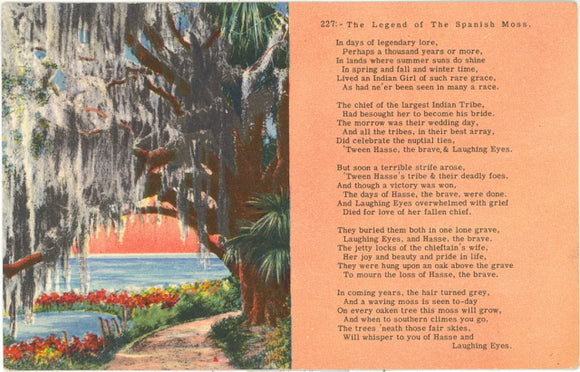 The Legend of The Spanish Moss - Carey's Emporium