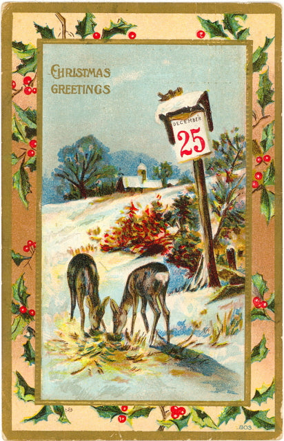 Christmas Greetings - Carey's Emporium