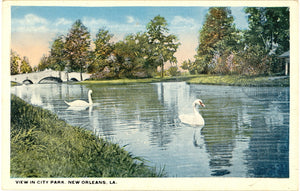 View in City Park, New Orleans, LA - Carey's Emporium