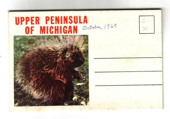 Greetings from Upper Michigan Peninsula, Ontonagon River and Porcupine Mountain Area Souvenir Folder - Carey's Emporium