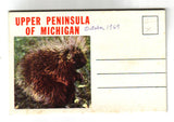 Greetings from Upper Michigan Peninsula, Ontonagon River and Porcupine Mountain Area Souvenir Folder - Carey's Emporium