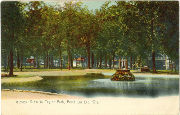 View in Taylor Park, Fond du Lac, WI - Carey's Emporium