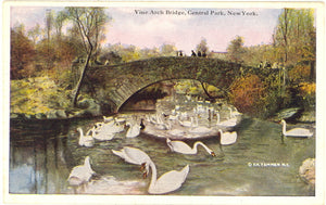 Vine Arch Bridge, Central Park, New York, NY - Carey's Emporium