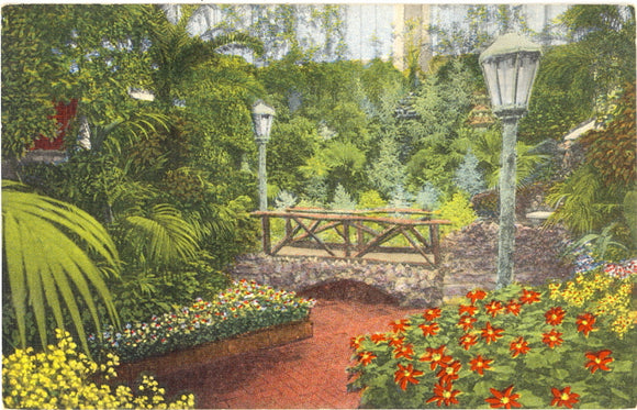 Poinsettias and Stevia Plants, Jewel Box, Forest Park, St. Louis, MO - Carey's Emporium