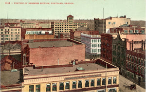 Portion of Business Section, Portland, OR - Carey's Emporium