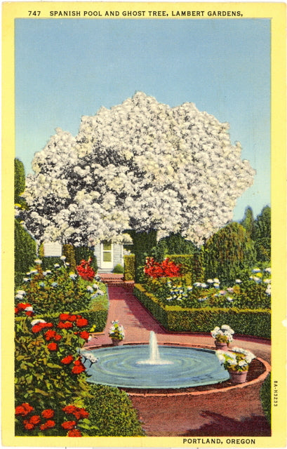 Spanish Pool and Ghost Tree, Lambert Gardens, Portland, OR - Carey's Emporium