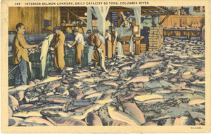 Interior Salmon Cannery, Daily Capacity 60 Tons, Columbia River, OR - Carey's Emporium