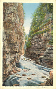 Down the Chasm from Table Rock, Ausable Chasm, NY - Carey's Emporium