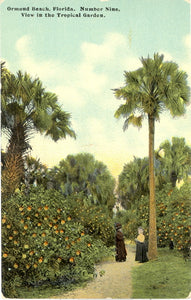 View in the Tropical Garden, Ormond Beach, FL - Carey's Emporium