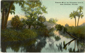 Tomoka River up Thompson Creek, near Ormond, FL - Carey's Emporium