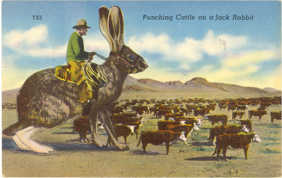 Punching Cattle on a Jack Rabbit Exaggeration - Carey's Emporium