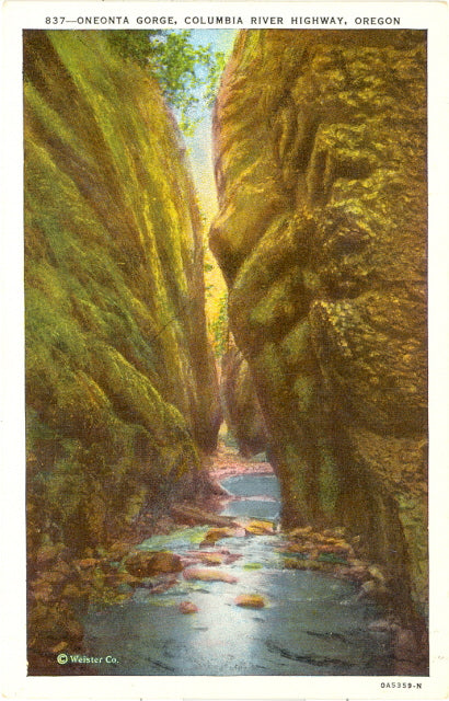 Oneonta Gorge, Columbia River Highway, OR - Carey's Emporium