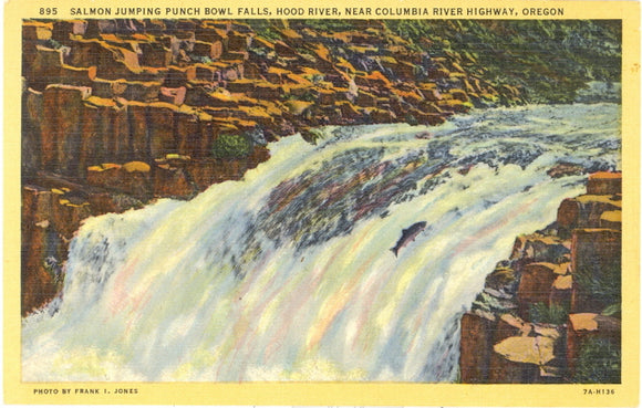 Salmon Jumping Punch Bowl Falls, Hood River, Columbia River Highway, OR - Carey's Emporium