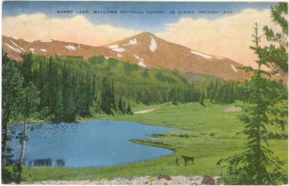Bonny Lake, Wallowa National Forest in Scenic Oregon - Carey's Emporium